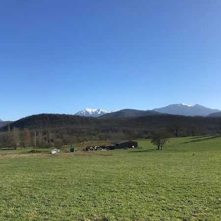 Au Coeur De Loo Villa Sauveterre-de-Comminges ภายนอก รูปภาพ