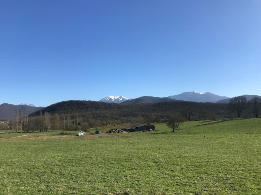 Au Coeur De Loo Villa Sauveterre-de-Comminges ภายนอก รูปภาพ